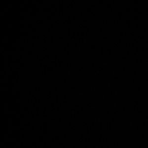 Meet your Posher, Kariden